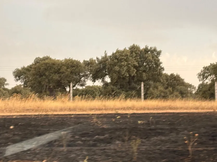 Zona quemada por el incendio de la motocicleta