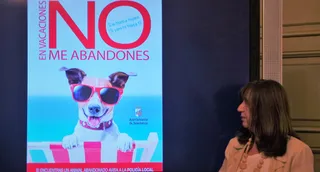 'En vacaciones no me abandones', nueva campaña municipal contra el abandono de los animales de compañía