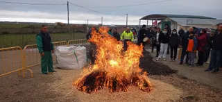La provincia celebra la fiesta de la matanza