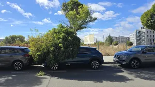 Incidencias provocadas por el viento en Salamanca