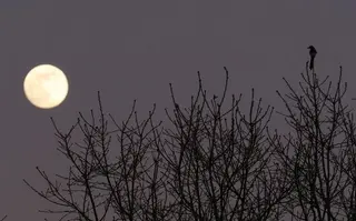 Luna llena. Foto César Sánchez | ICAL