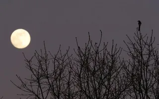 Luna llena. Foto César Sánchez | ICAL