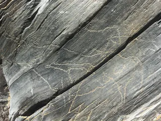 Grabado Siega Verde