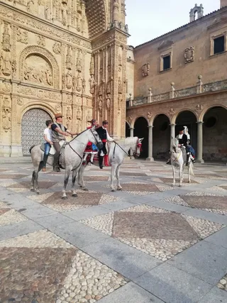 IMG 20200802 193458