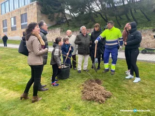 Plantación olmos La Vaguada (2 3 2020)