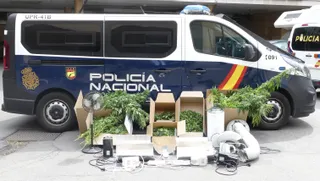 La Policía Nacional desmantela una plantación de marihuana en el barrio del Carmen