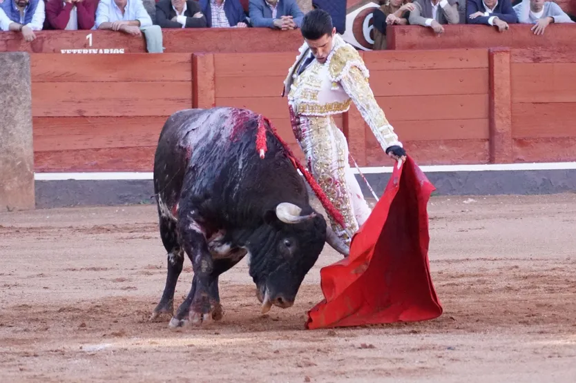 Alejandro Talavante con