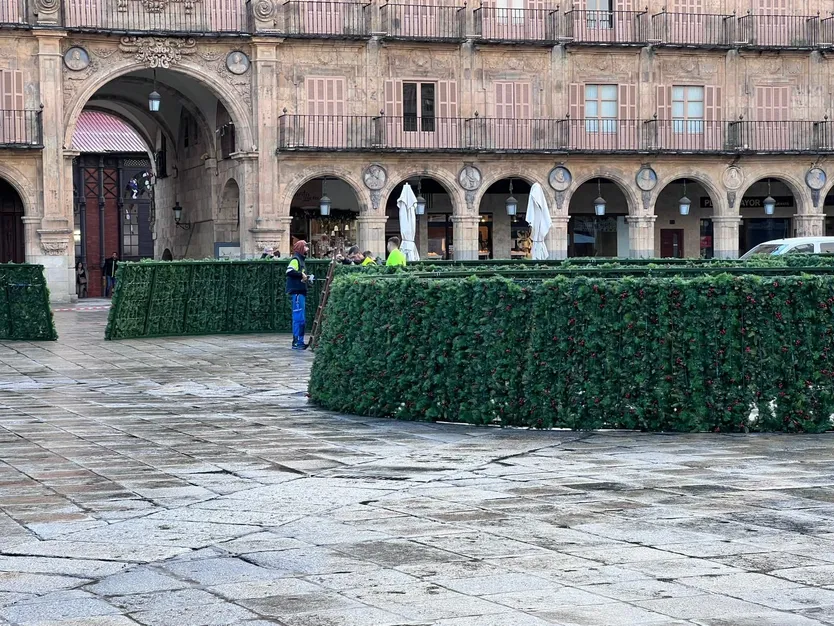 Montaje del árbol de 23 metros en la Plaza Mayor de Salamanca por Navidad