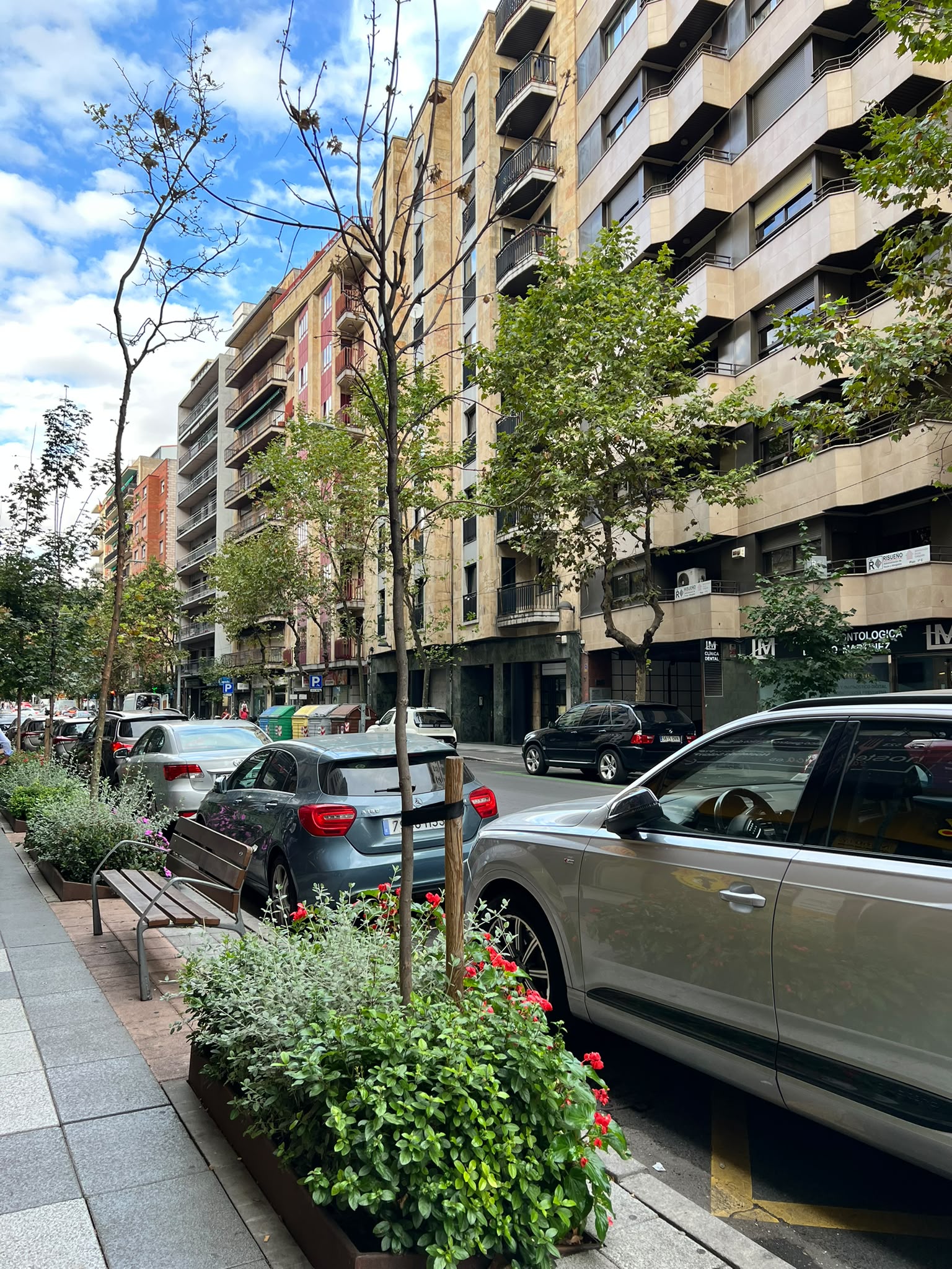 &Aacute;rbol Plantado Con Una Maceta Floral En El Paseo Del Doctor Torres Villarroel