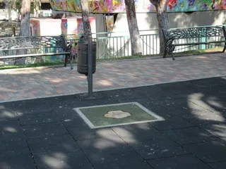 Falta de arbolada en plazas y parques