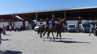 Patrulla a caballo en Salamaq 2019