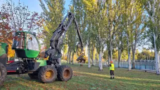Reposición de arbolado en La Aldehuela | Ayuntamiento de Salamanca