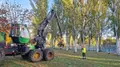 Reposición de arbolado en La Aldehuela | Ayuntamiento de Salamanca