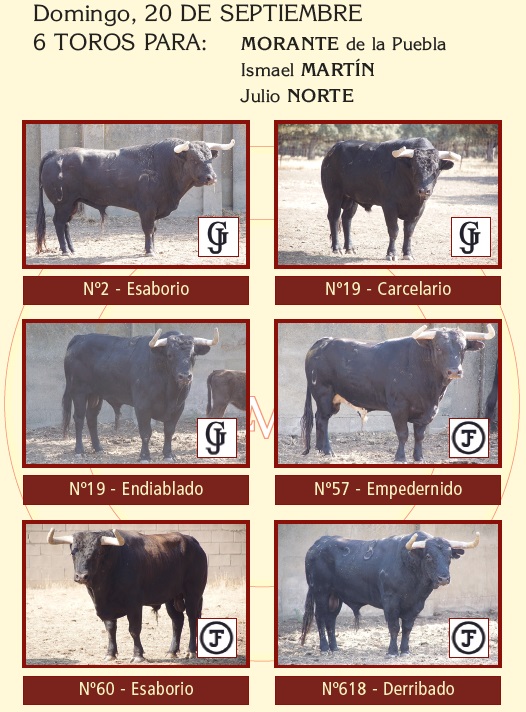 Toros De Garc&iacute;a Y Olga Jim&eacute;nez Para La Corrida De Salamanca Del 20 De Septiembre De 2026 | La Mariseca-Juanes