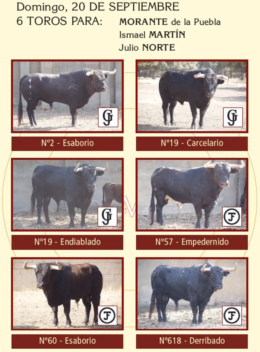 Toros De García Y Olga Jiménez Para La Corrida De Salamanca Del 20 De Septiembre De 2026 | La Mariseca-Juanes