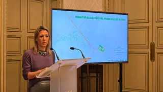 Presentación de un nuevo proyecto de renovación de parques y plazas de la ciudad