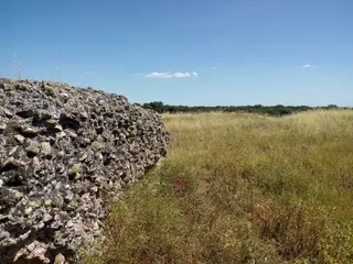 Restos castillo Lagunas Rubias, Aldeanueva de Figueroa