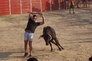 Segundo toro del cajón de Villoruela