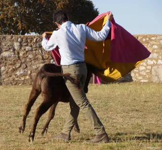 Los pequeños de la Escuela de Tauromaquia de Salamanca en Valparaíso