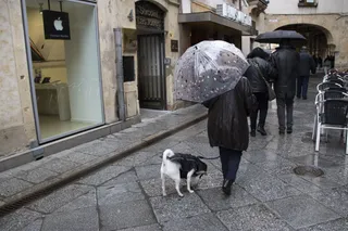 Mujer pasea a su perro bajo la lluvia, imagen de archivo, recurso. Foto de archivo
