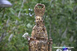 Ofrenda floral tono 35