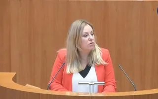 Ciudadanos pide proveer a los profesores de educación primaria de formación curricular en Inteligencia Emocional