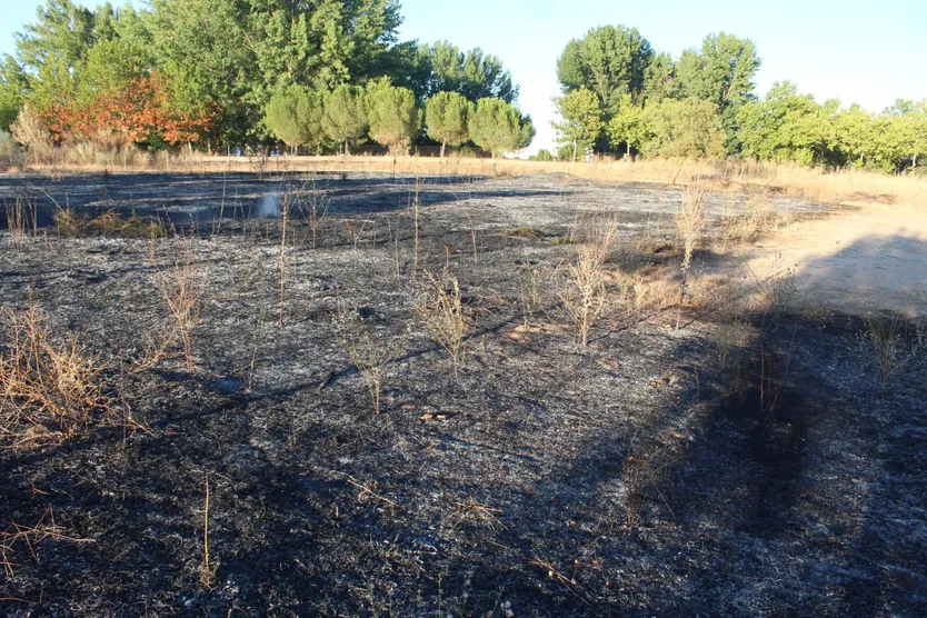 Incendio en Villamayor (3)