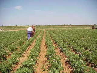 UPA-COAG urge a la Junta el desarrollo del Plan Estratégico de Producción Ecológica de Castilla y León