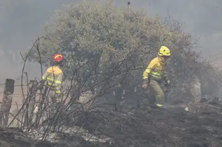 Incendio forestal en Buenavista. Fotos Carlos H.G
