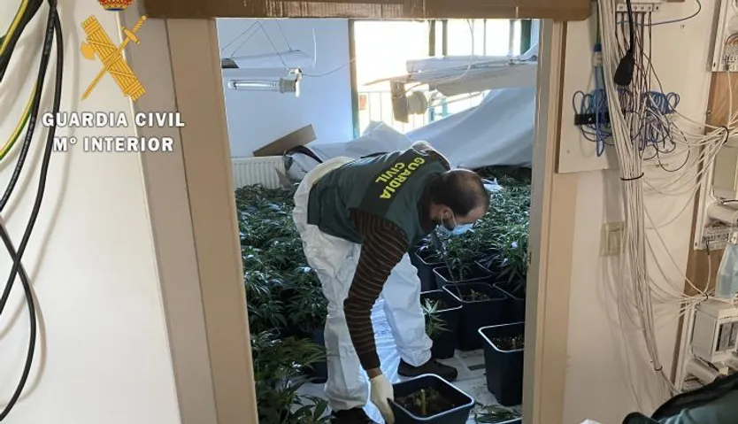 03 02 2022 MARIHUANA INDOOR 1