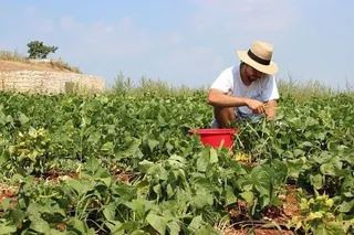 El Ayuntamiento seguirá contratando parados