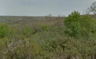 Ciudadanos reclama la actuación de Agricultura y Medio Ambiente para solucionar el problema del minifundio forestal