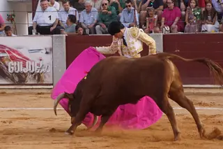 Novillada mixta en picadores en Guijuelo, 17 de agosto | Juanes
