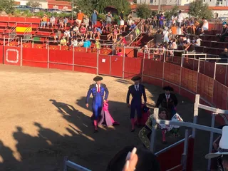 Novillada sin picadores en Villarino de los Aires