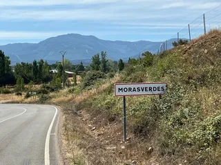 Morasverdes