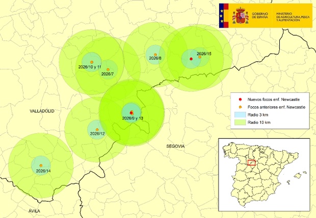 En rojo, localizaci&oacute;n de los nuevos focos de enfermedad de Newcastle en la provincia de Valladolid y en naranja, focos previamente confirmados en Valladolid | MAPA
