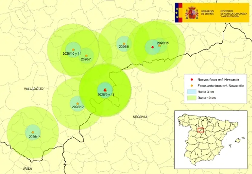 En rojo, localización de los nuevos focos de enfermedad de Newcastle en la provincia de Valladolid y en naranja, focos previamente confirmados en Valladolid | MAPA