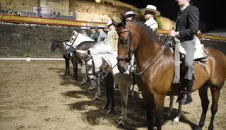 Balance Feria del Caballo 2024