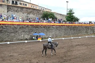 XXII Gran Premio de Doma Vaquera en Ciudad Rodrigo