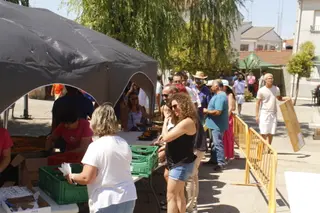 Paella en Rollan
