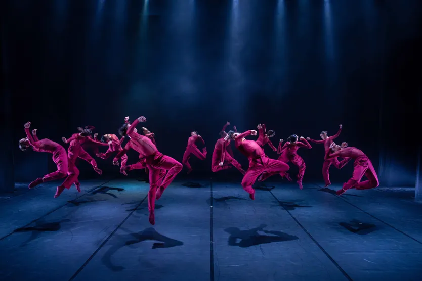 Escuela Profesional De Danza