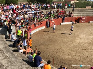 Encierro pereña (9)