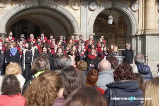Acto violencia de genero plaza mayor (29)