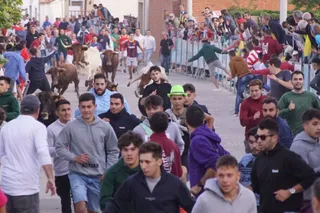 Primer encierro de las fiestas de San Roque en Macotera