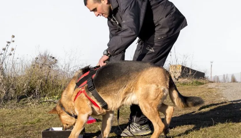 Pedro Bautista Educación canina (3)