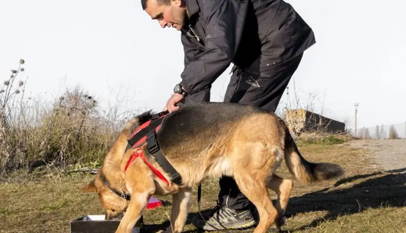 Pedro Bautista Educación canina (3)