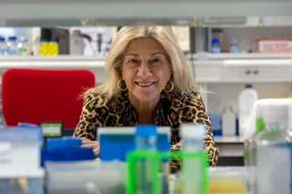 La iniciativa está coordinada por la investigadora Ángeles Almeida, dentro del consorcio MedPer_DC | David Arranz/ICAL