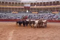 Corrida de toros presentada durante el desenjaule en la Feria de Salamanca | Juanes