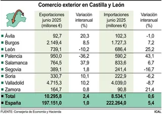 Comercio exterior en Castilla y León | 5