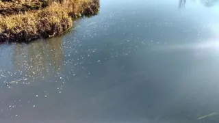 Espuma en el río Tormes